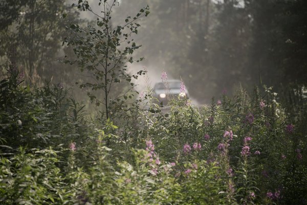 Stages de pilotage sur circuit : qui peut s'inscrire ?